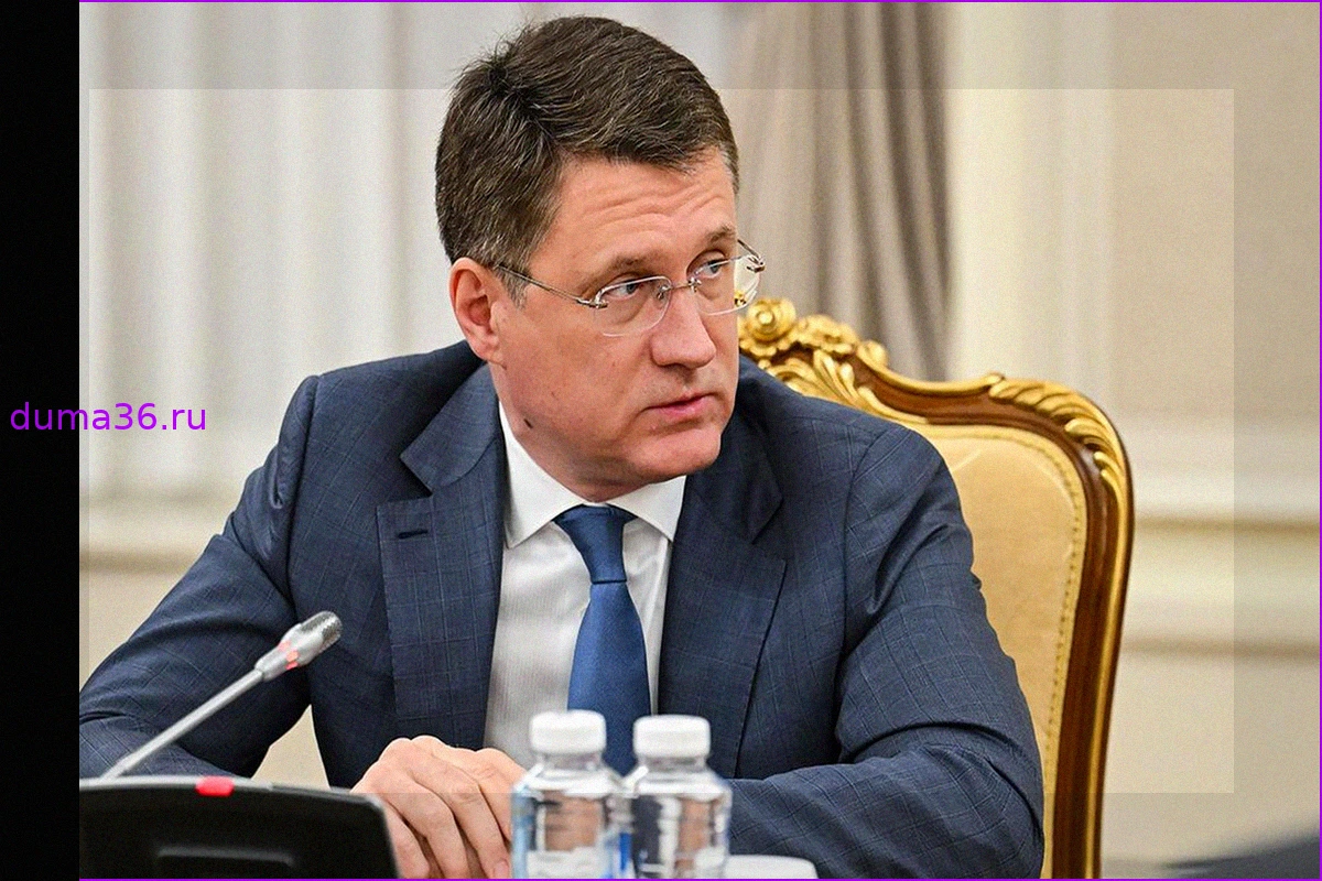 Новак поручил подготовить дополнительные меры поддержки экономики