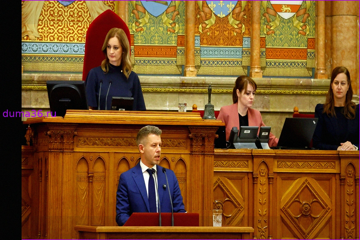 Венгрия: Петер Мадьяр – мастер конфронтации в новом правительстве