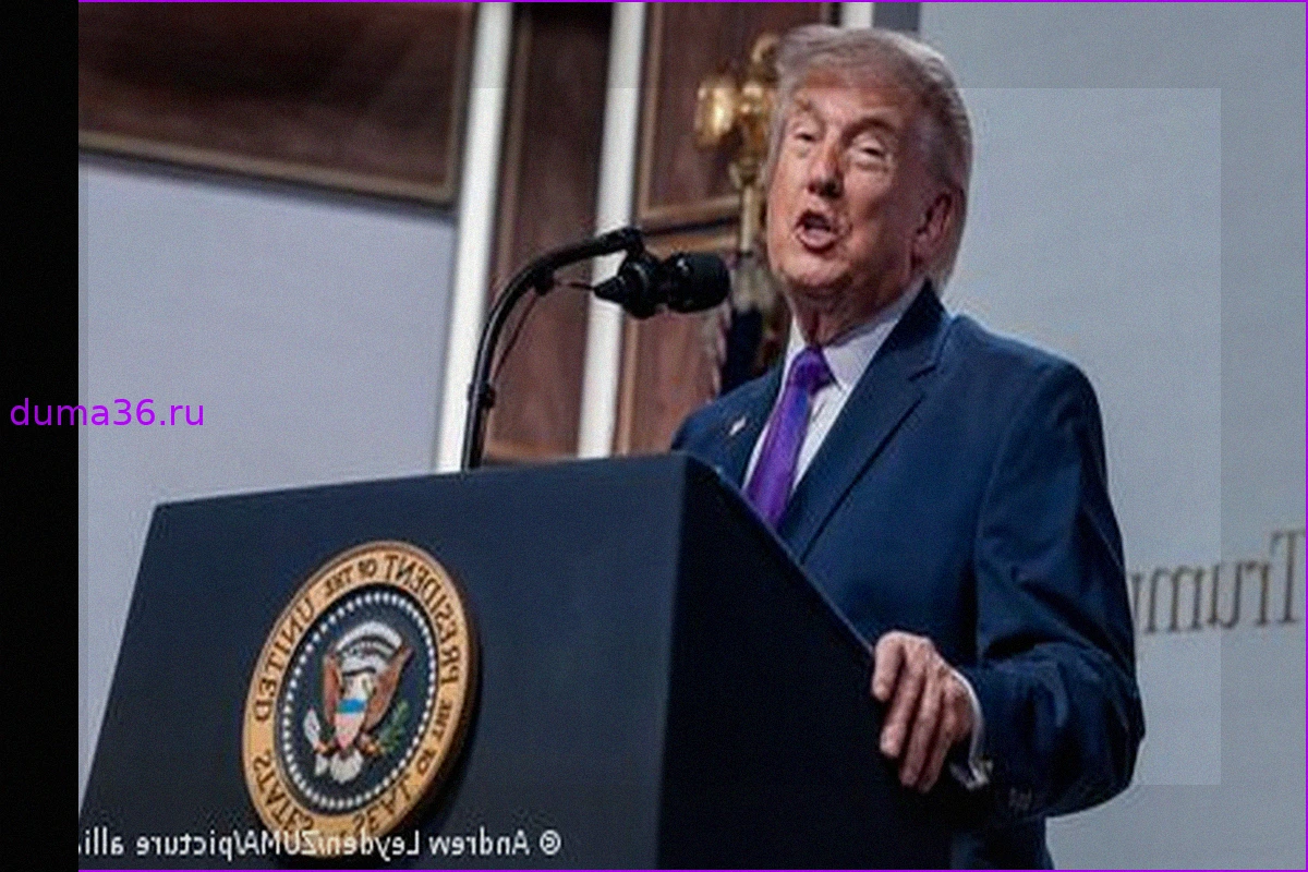 Коротко о главном: Трамп перебрасывает 5000 солдат в Польшу