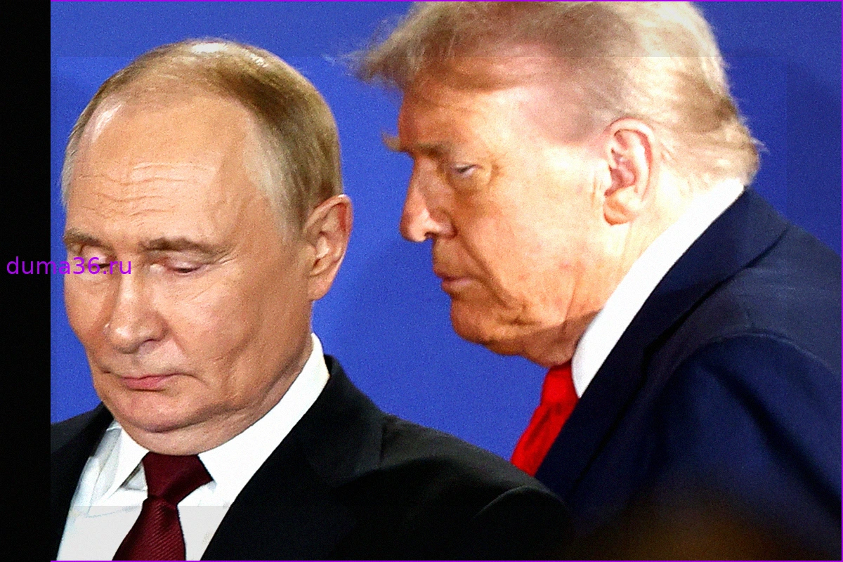 Трамп планирует обсудить Украину с Путиным после встречи с Зеленским