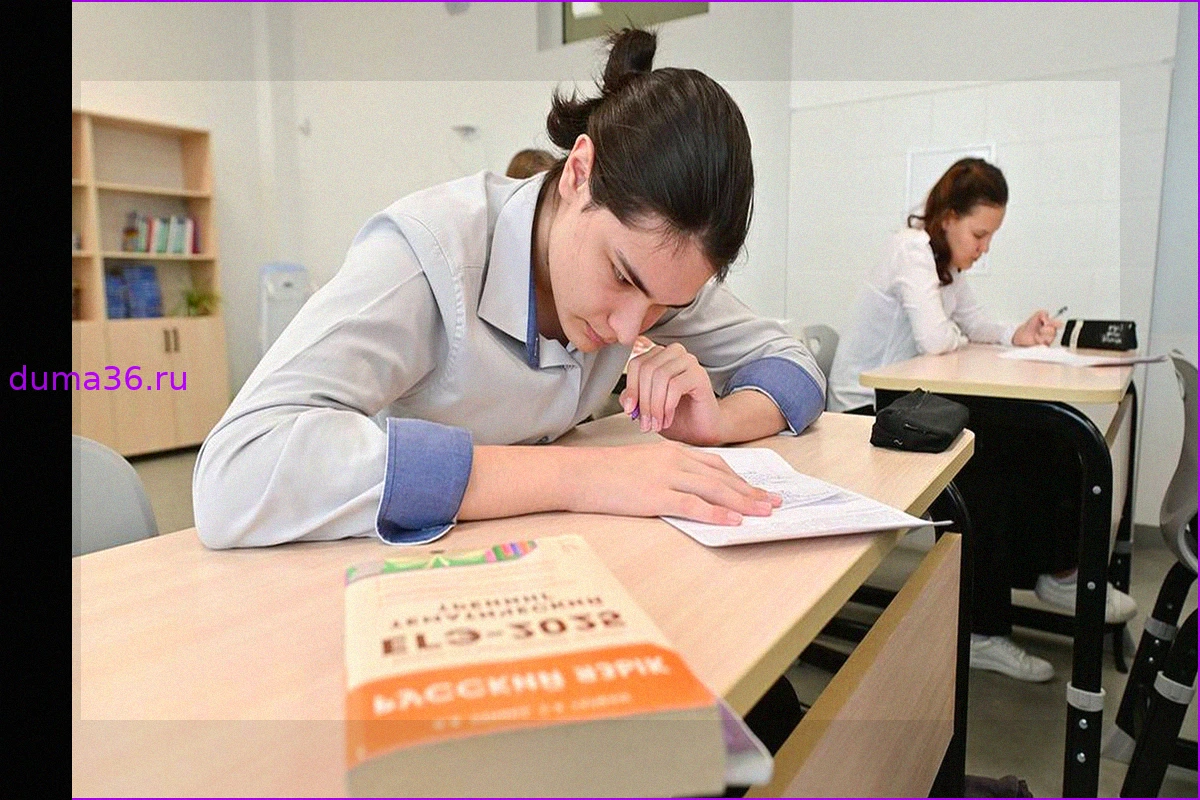 Как получить дополнительные баллы при поступлении в вуз: разъяснения эксперта Ивана Петрушина
