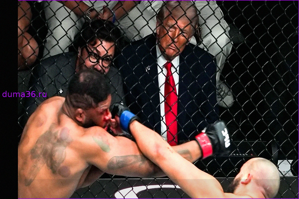 Дональд Трамп и MMA: жестокий спорт как отражение его убеждений