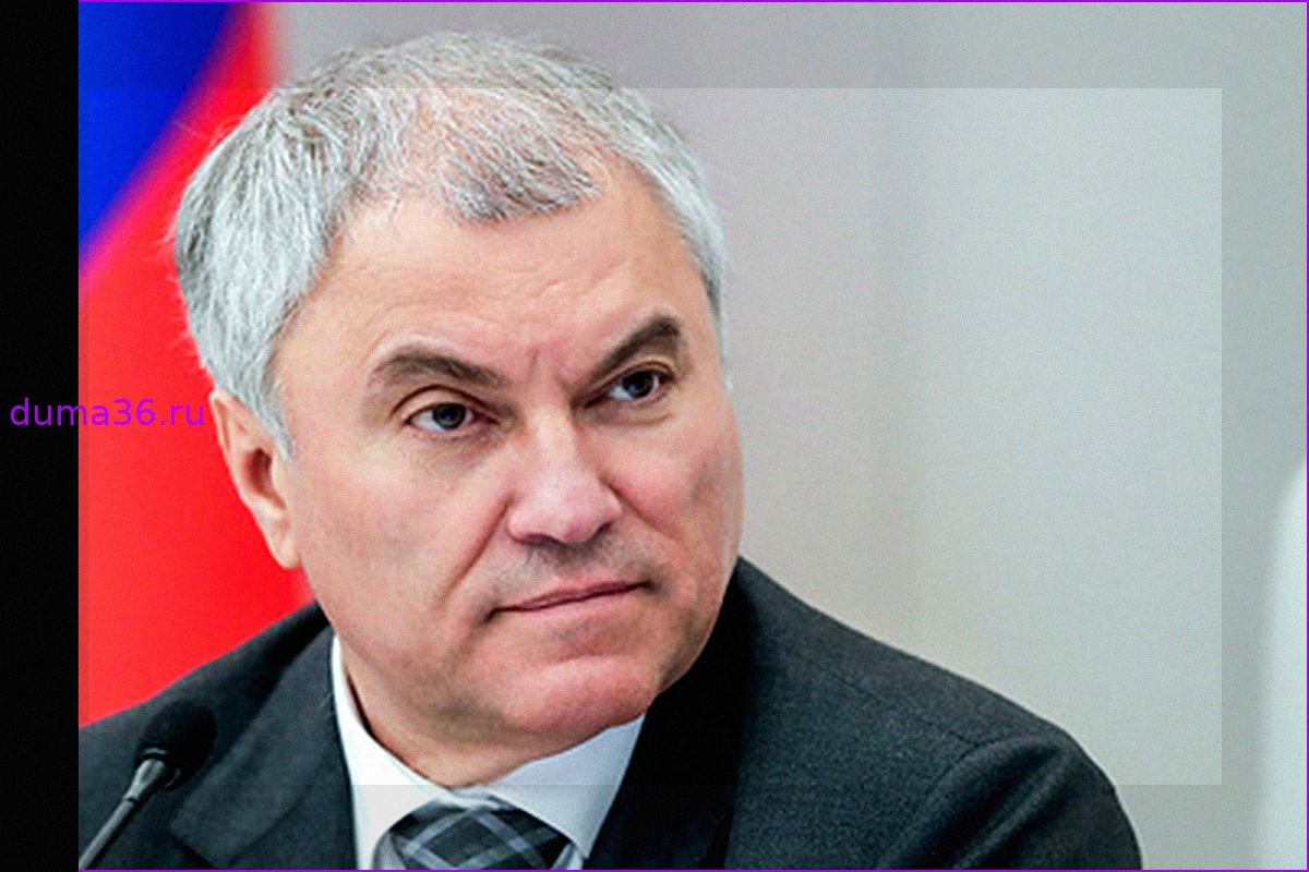 Володин призвал депутатов взять шефство над детскими лагерями