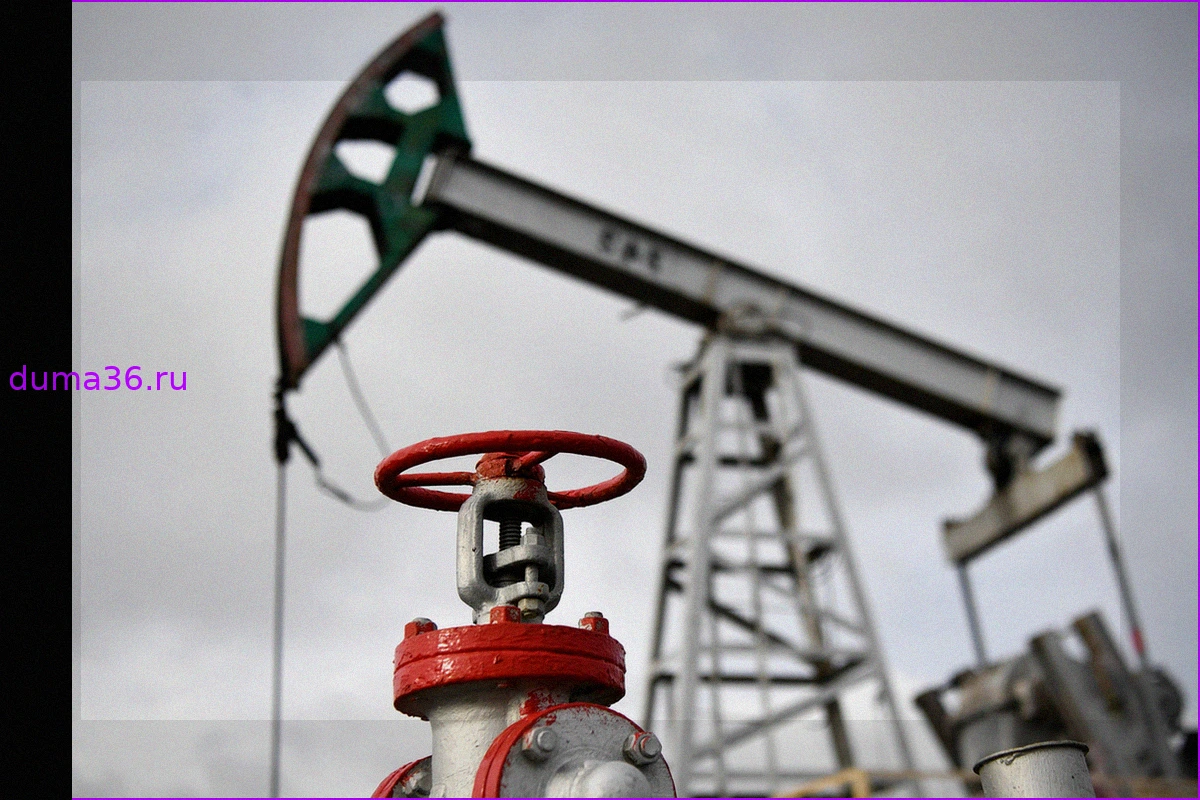 Россия — главный поставщик нефти в Китай: значительный рост импорта