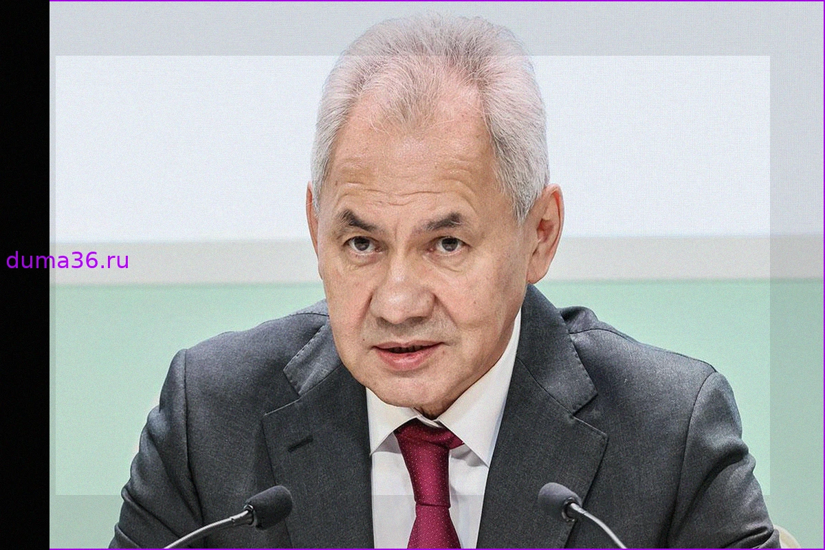 Сергей Шойгу: Нет предпосылок для сворачивания российской военной базы в Армении