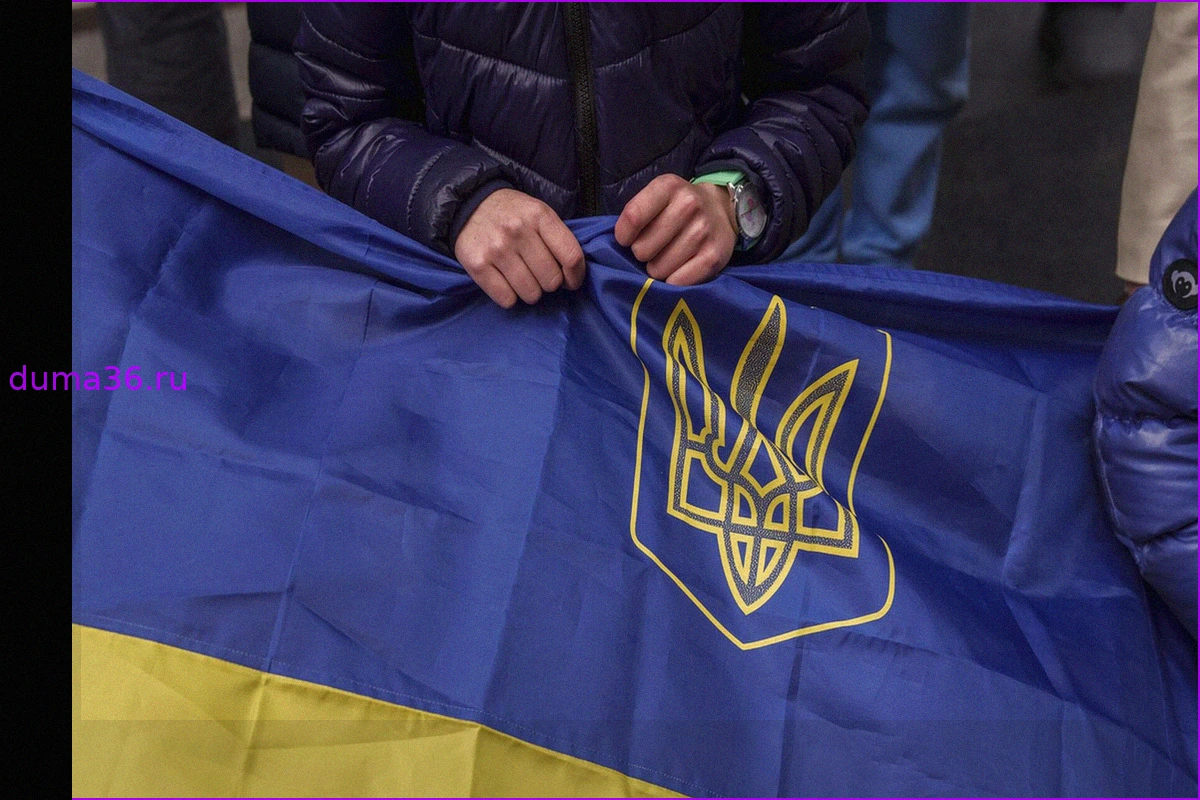 Польский депутат Матецкий внесен в базу "Миротворца"