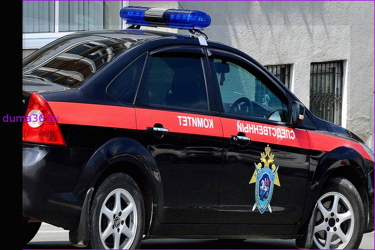 Завершено дело об оскорблении судьи гневными письмами