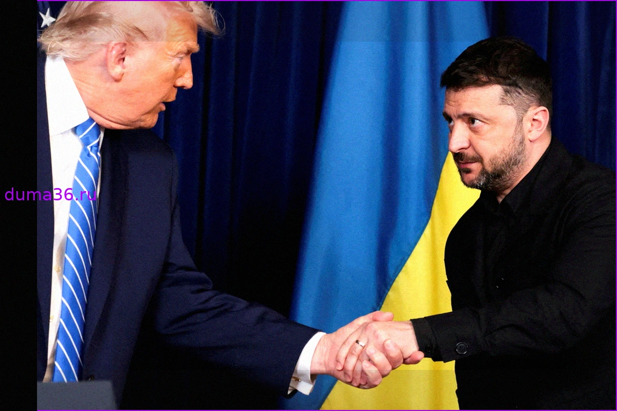 Встреча Трампа и Зеленского на саммите НАТО: Белый дом подтвердил детали