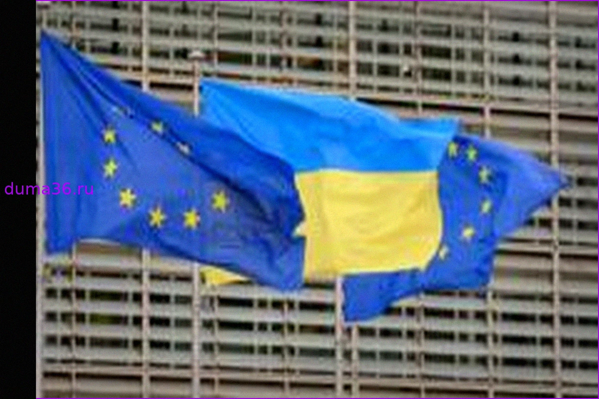От цен на газ до борьбы со «схемами» и коррупцией. Что обещает Украина в обмен на кредиты ЕС и МВФ?