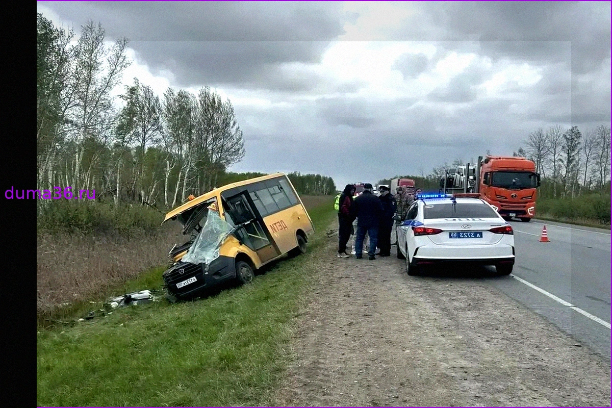 Ребенок погиб в ДТП со школьным автобусом в Омской области