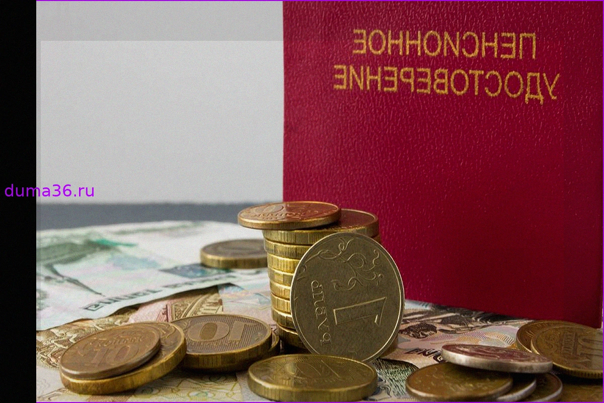 Ошибки в начислении пенсий: Счетная палата о некорректных данных работодателей и способах перерасчета
