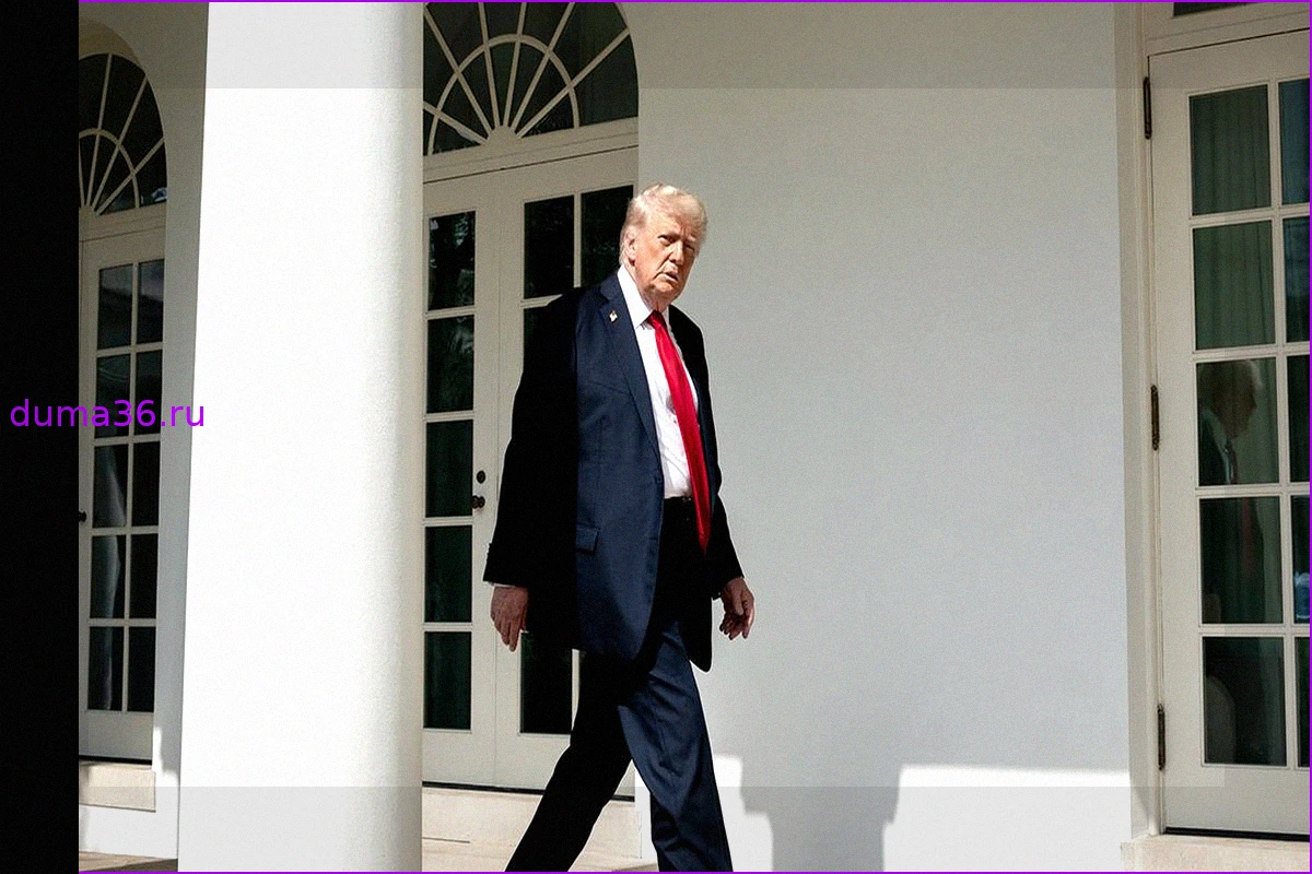 Трамп готов направить переговорщиков в Москву для урегулирования конфликта на Украине