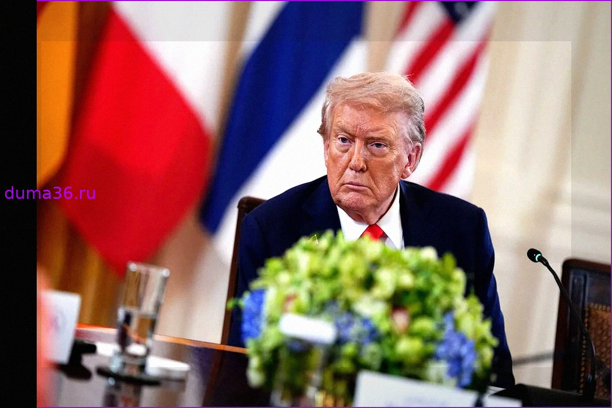 NYT узнала, что телеканалы вернутся к освещению мероприятий с Трампом