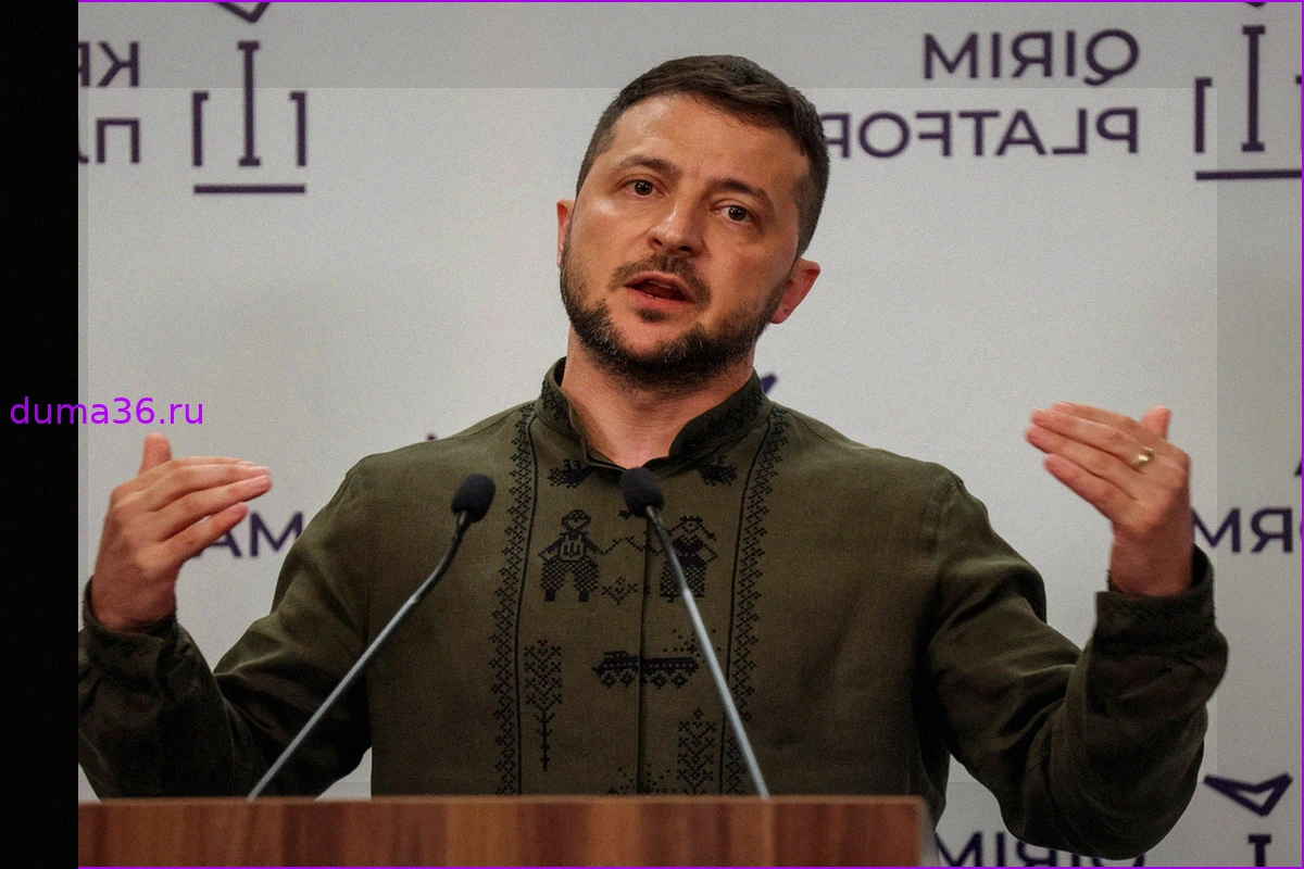 Украинский историк осудила отказ Зеленского от предложения Мерца по членству в ЕС