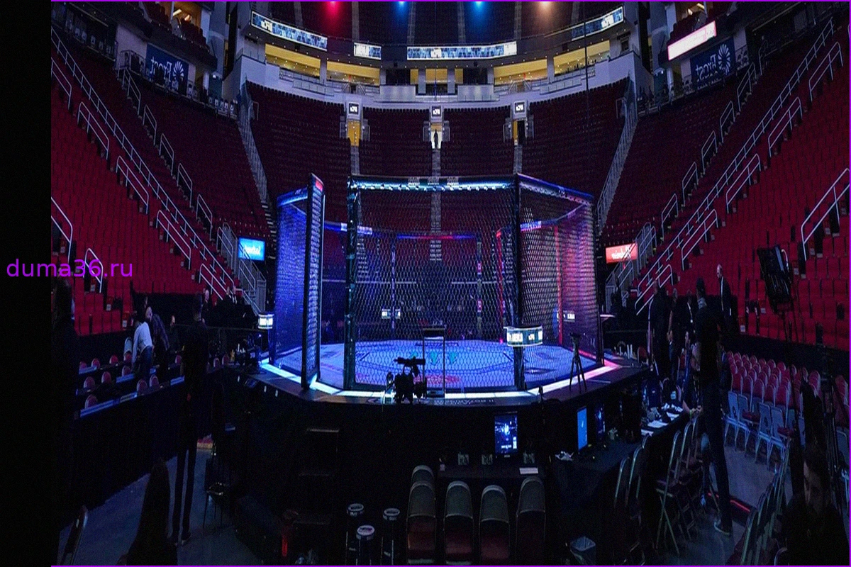 Царукян сотворил нокаут на турнире UFC 331