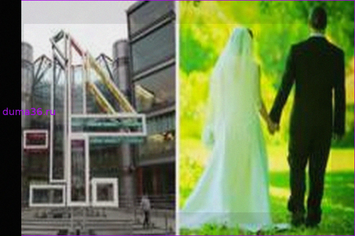 DCMS Considers 'Married at First Sight' Rape Allegations 'Serious'