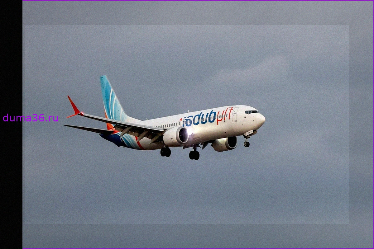 Пассажиров рейса flydubai в аэропорту Израиля встречали с флагами