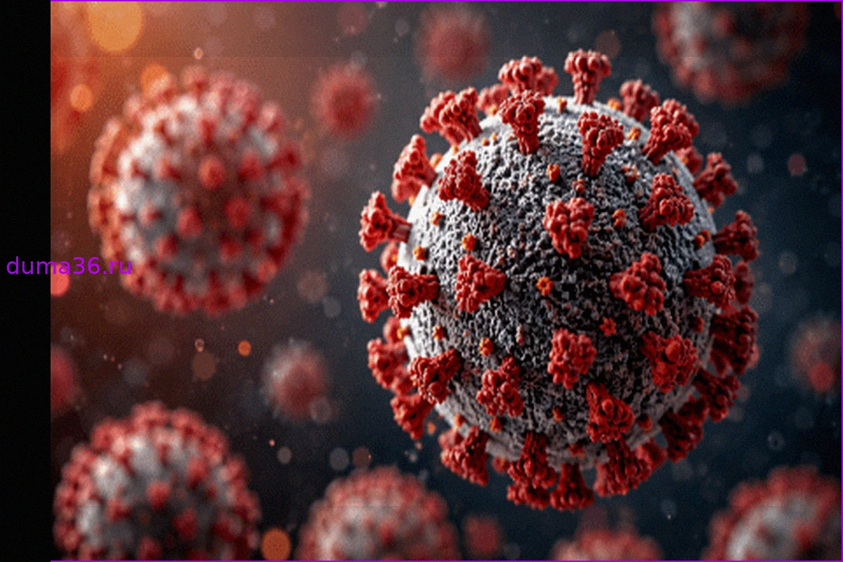 Возвращение COVID-19 в США: CDC фиксирует рост в 43 штатах, снижения нет нигде