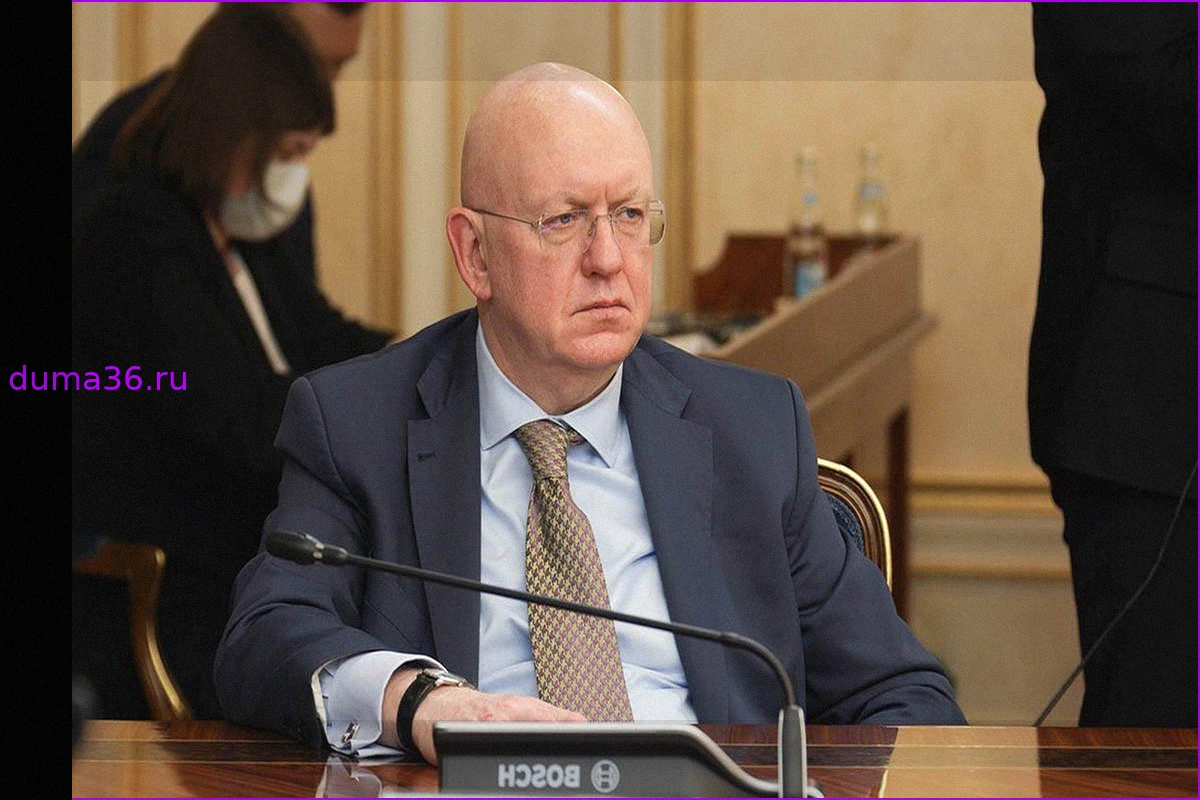 Небензя ответил украинскому постпреду в ООН поговоркой «на воре и шапка горит»