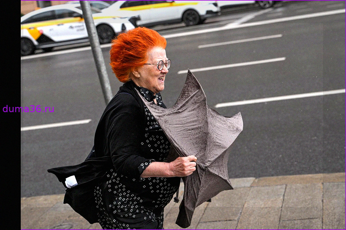 Штормовое предупреждение: Ветер, пожары и похолодание в столичном регионе
