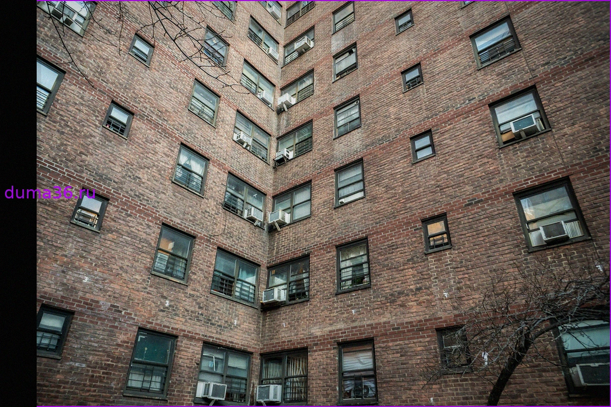 NYCHA в вашем районе: Даты и места проведения предстоящих мероприятий