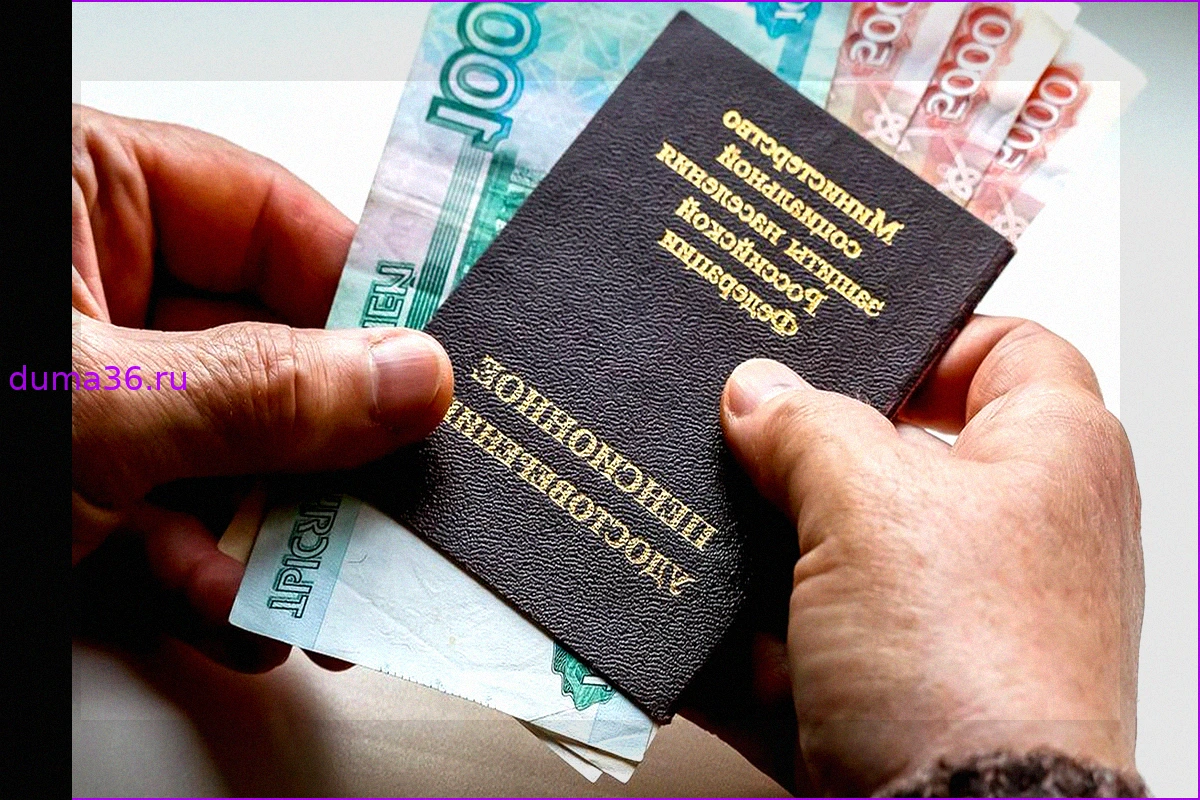 Самозанятые: как получать пенсию до 50 тысяч рублей