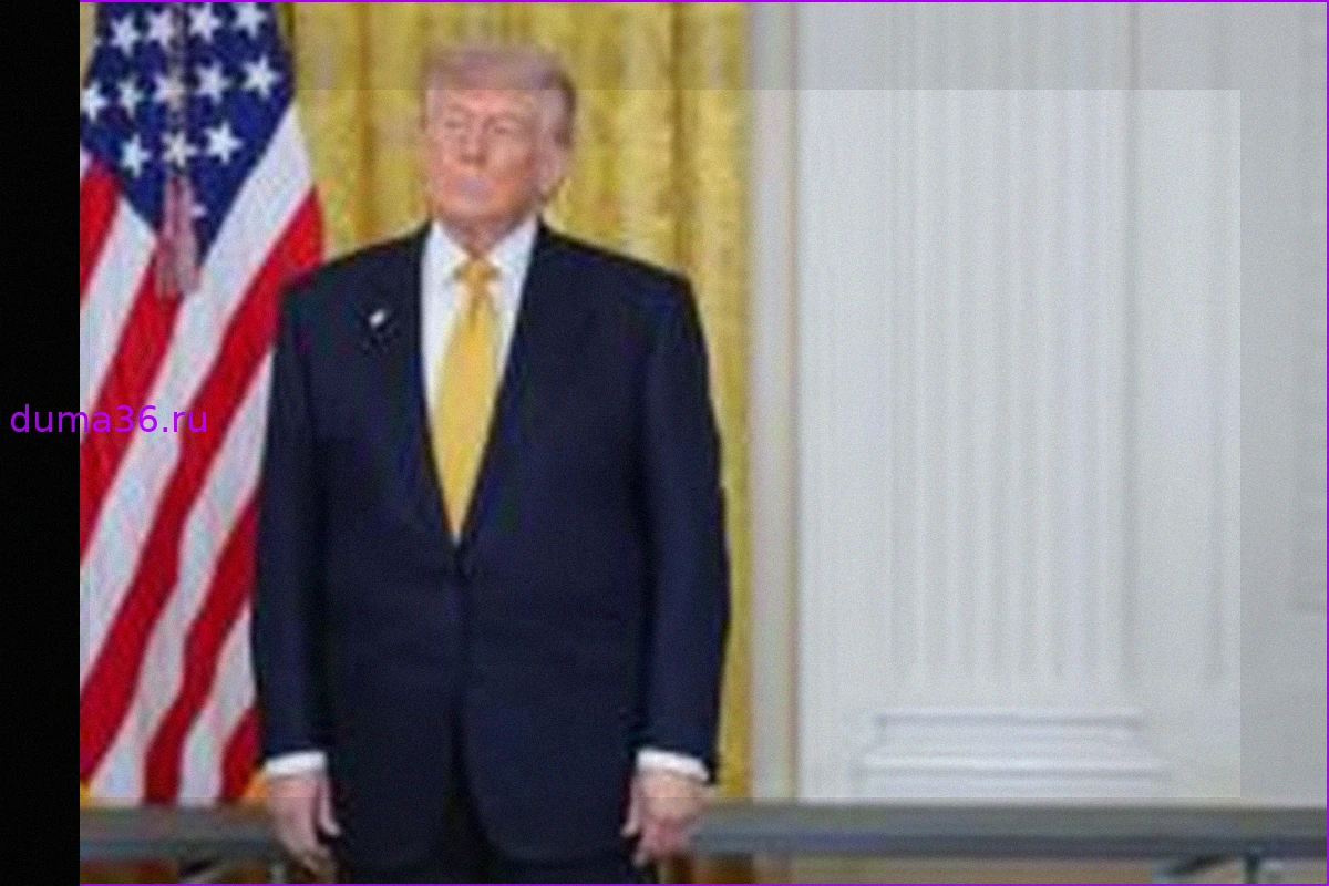 Потенциальные последствия урегулирования Дональда Трампа с Налоговой службой для будущих налоговых проверок его, его семьи и их предприятий