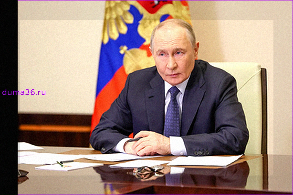 Проект национального центра "Россия" представят Путину на ВЭФ