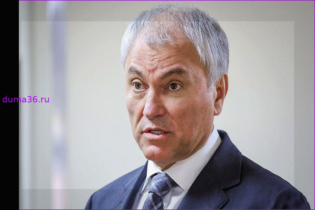 Заявление Володина: Что ждет релокантов, оскорблявших защитников России