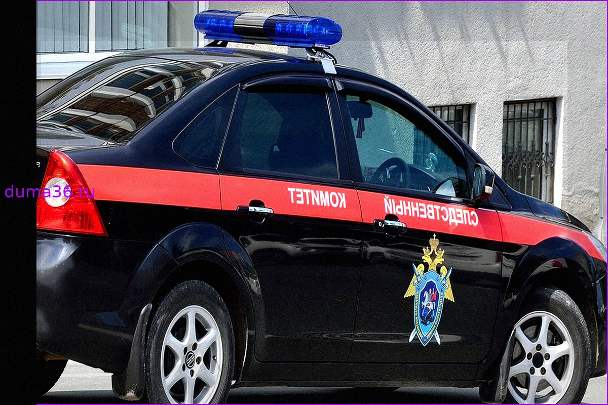 СК ходатайствует об аресте подозреваемого в нападении с ножом на байкера в Новой Москве