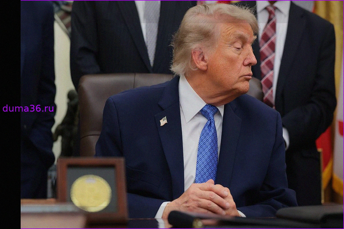 Axios узнал, что Трамп допустил отказ от «пониманий Анкориджа»