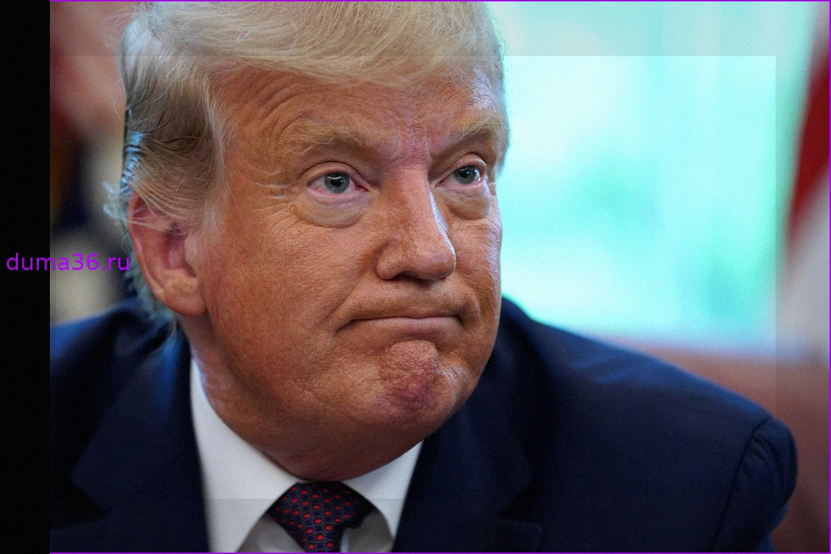 Заявления Дональда Трампа о Европе и НАТО