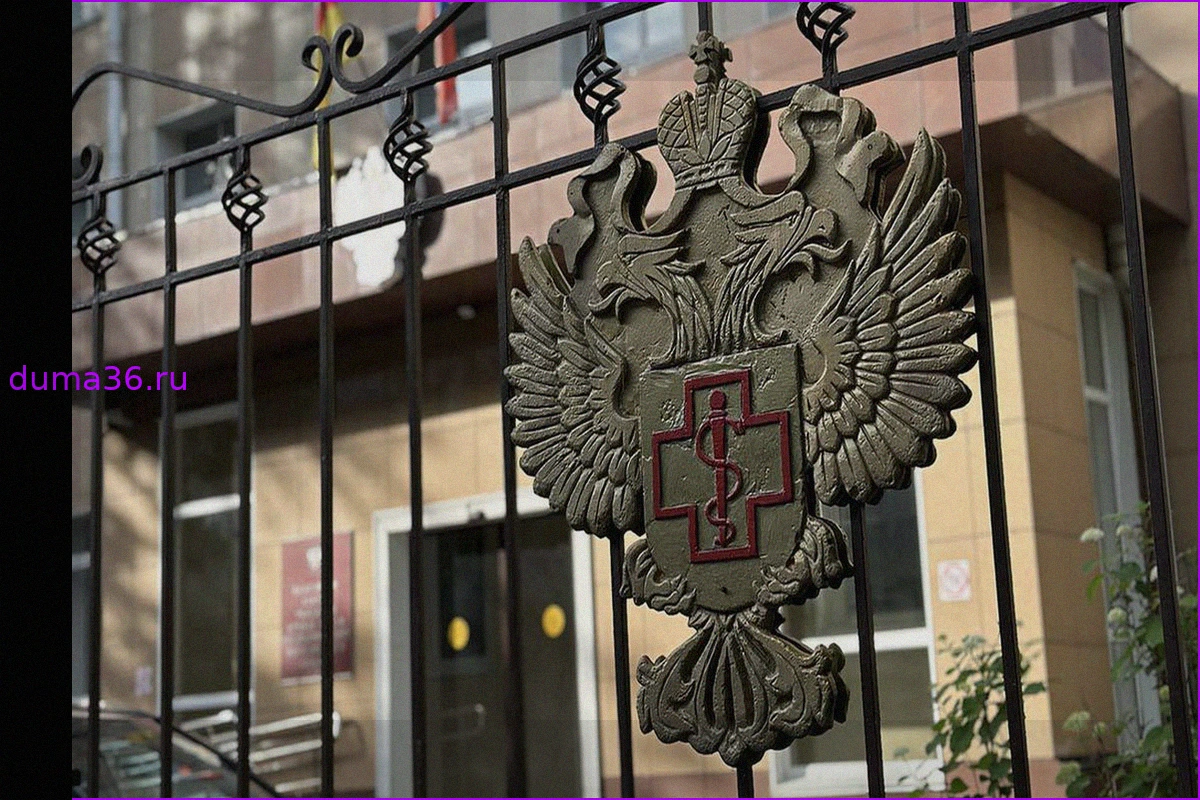 Роспотребнадзор: Риск хантавируса Андес в России минимален из-за климата