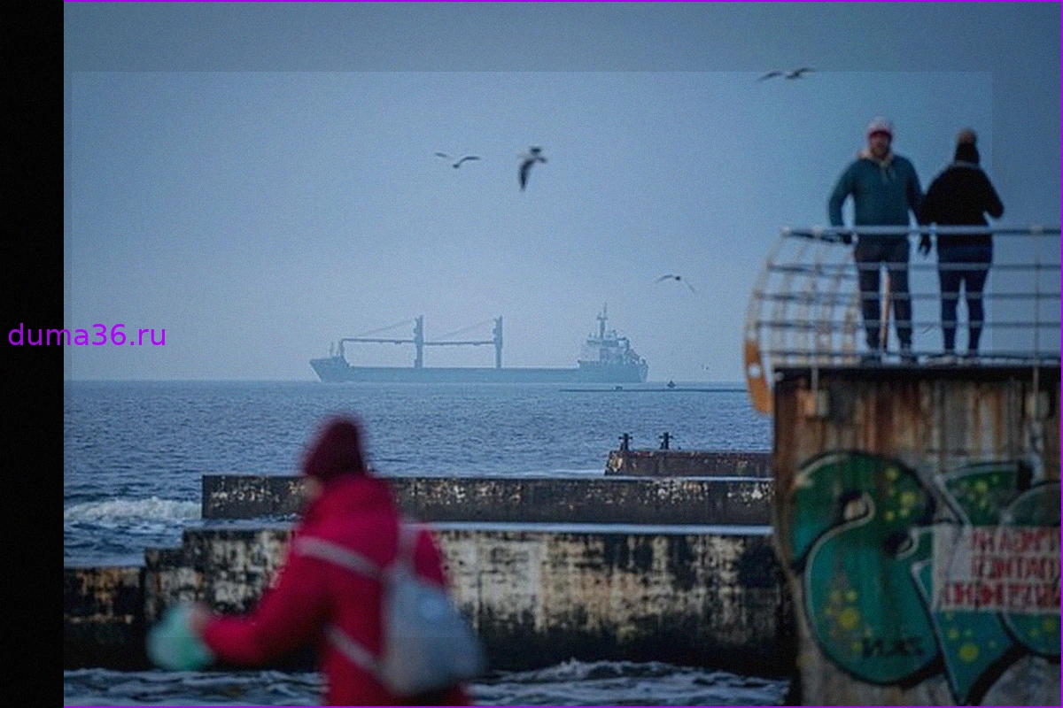 Украина потеряла миллиарды долларов из-за морской блокады портов