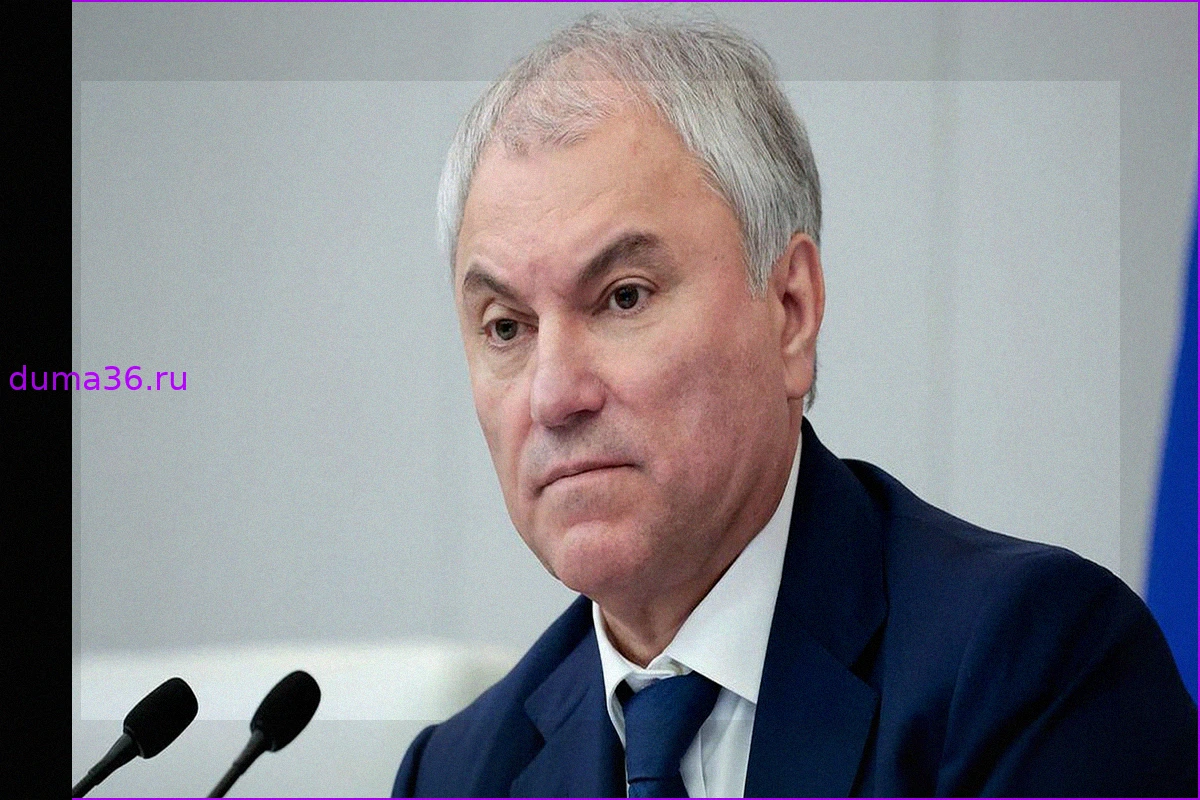 Володин предупредил Армению о серьезных рисках при возможном выходе из ЕАЭС
