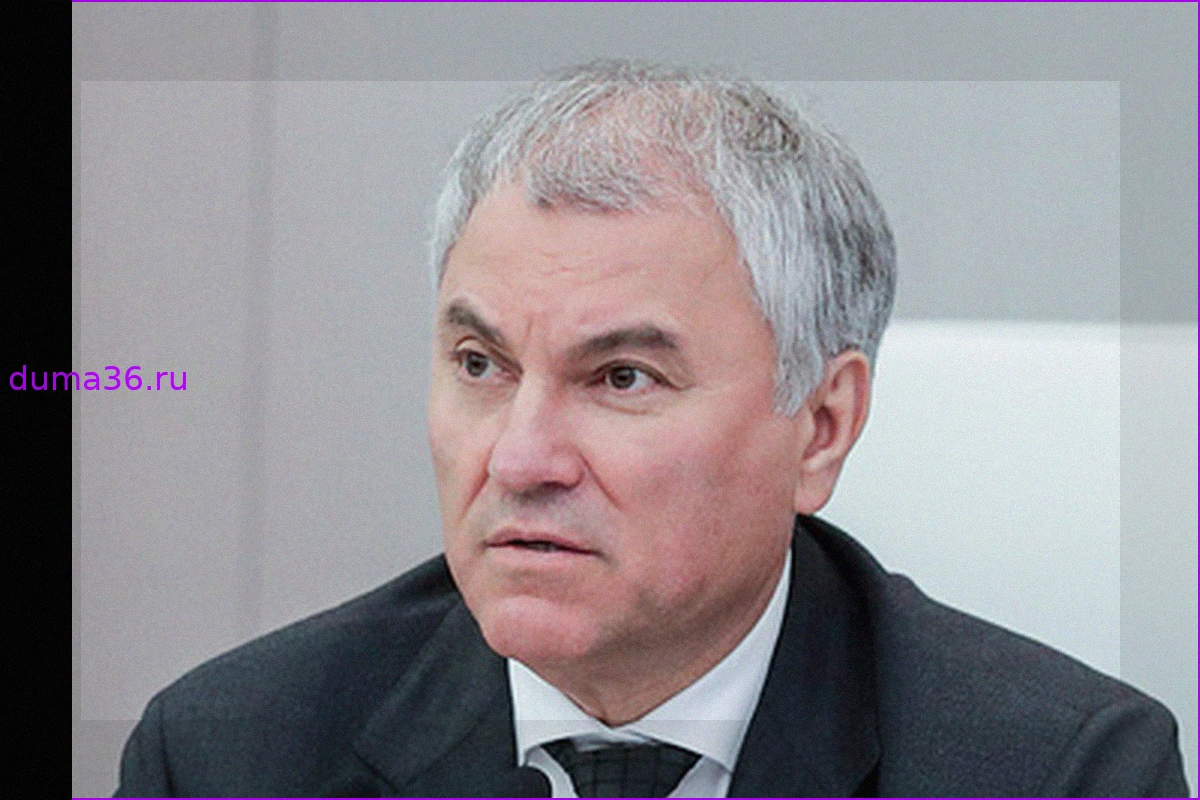 Володин и Сергеенко возложили цветы к мемориалу "Скорбь" в Бресте
