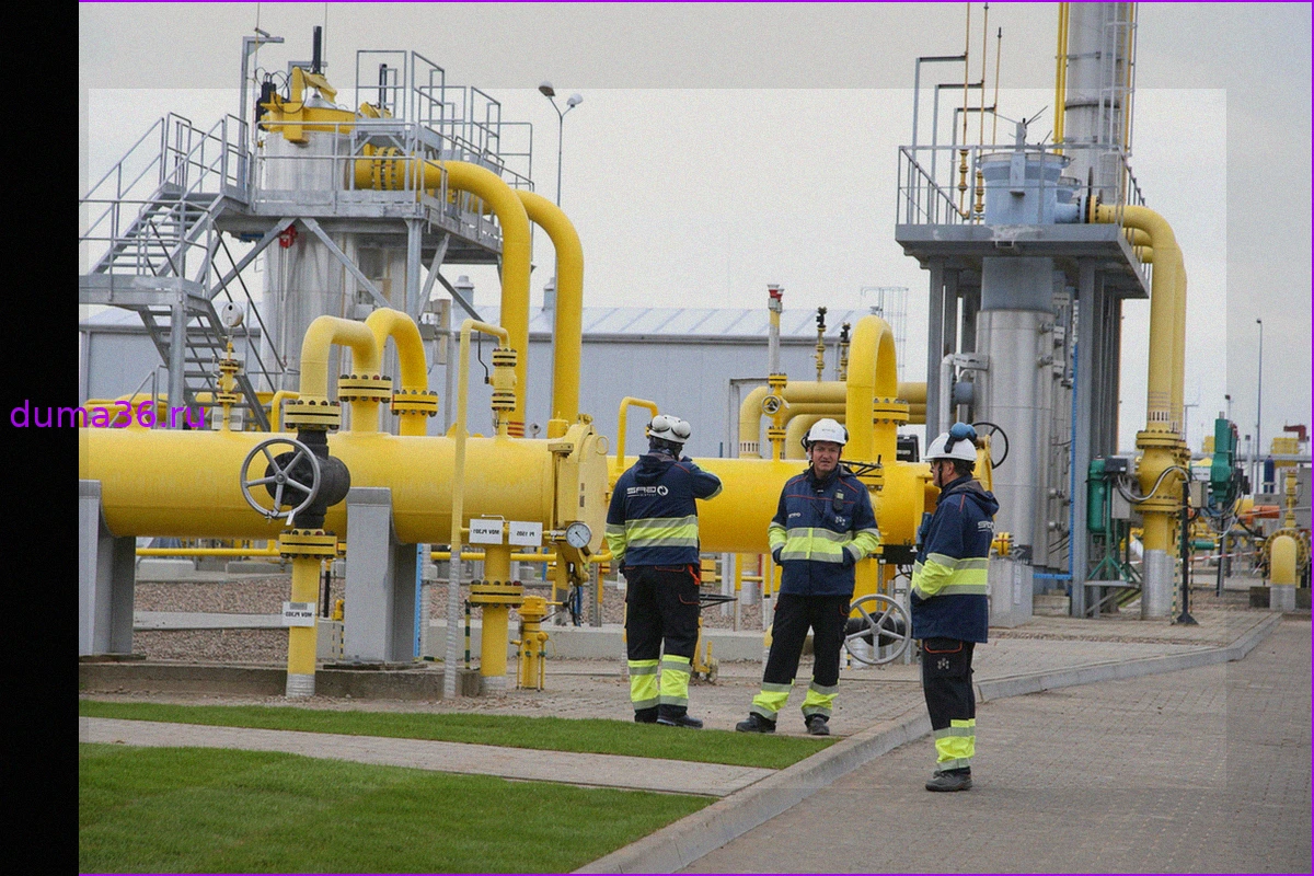 В Словакии раскрыли финансовые потери при отказе ЕС от российского газа