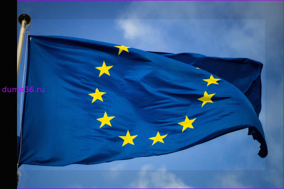 В Германии назвали утопией переговоры о вступлении Украины и Молдавии в ЕС