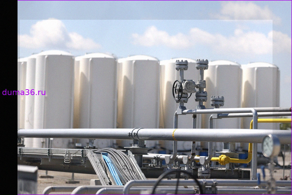 Потери ЕС из-за отказа от российских нефти и газа оценили