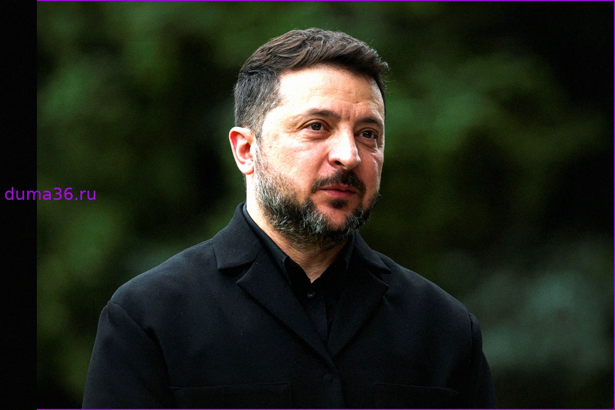 Почему Зеленский избегает выборов: угроза от Залужного