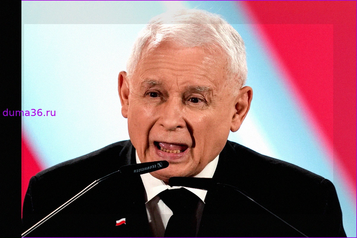 В Польше призвали заблокировать переговоры о членстве Украины в ЕС