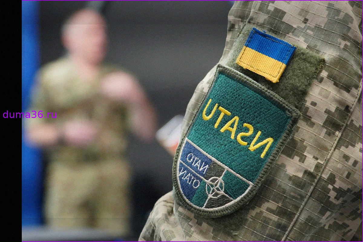 Эксперт США раскрыл детали скрытой работы НАТО с Украиной «под землей»