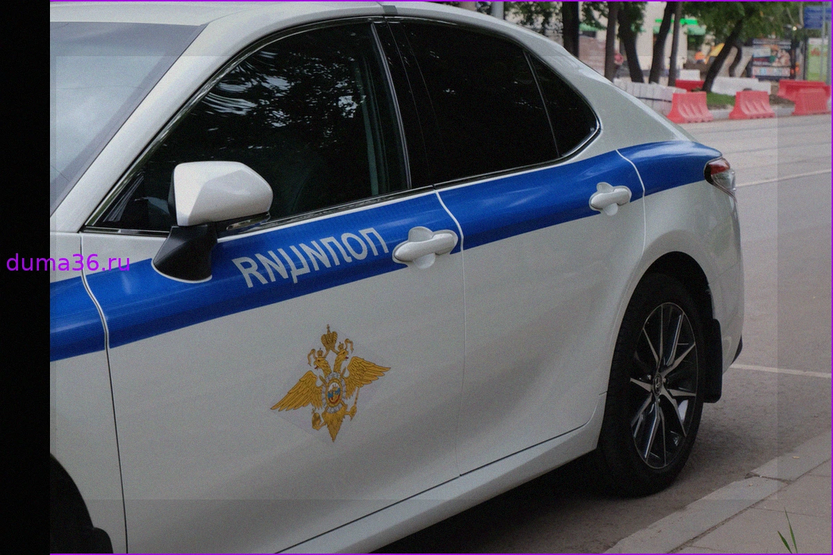 Нападение на ребенка в Камень-на-Оби: Прокуратура и полиция проводят проверку