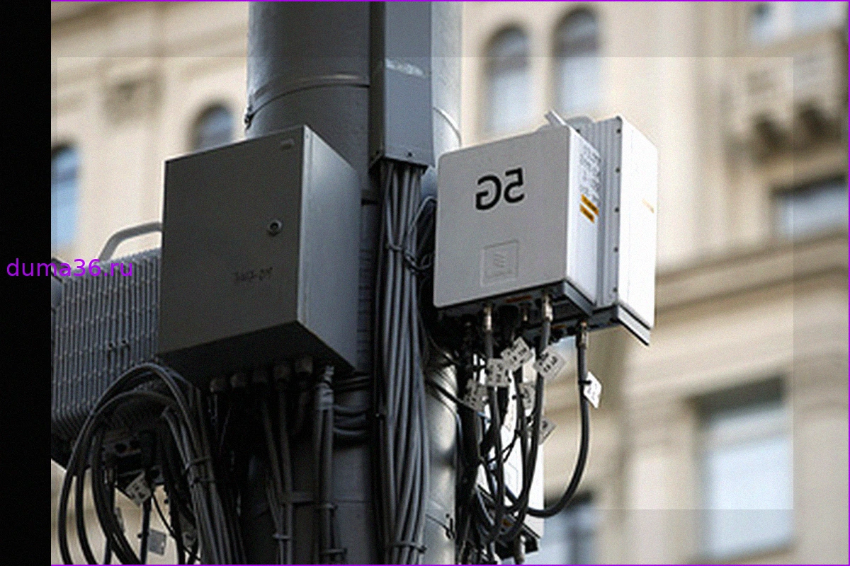 Первые сети 5G в России могут появиться уже в конце июня, с планами по расширению на четыре региона к концу года