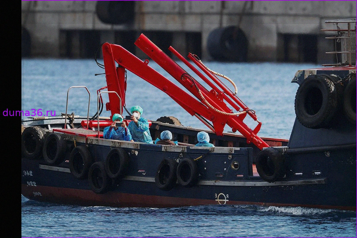 Эвакуация с круизного лайнера MV Hondius из-за вспышки хантавируса на Тенерифе