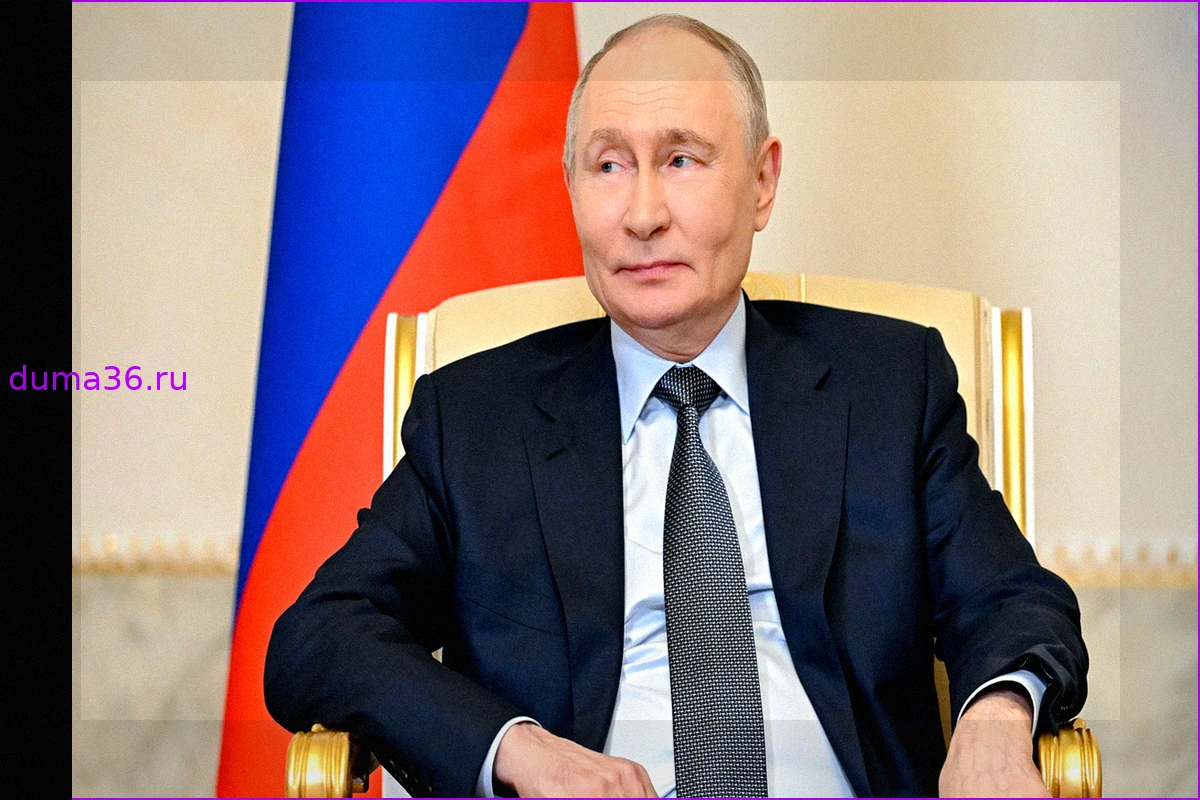 Война в Украине: Зеленский предлагает личную встречу с Путиным