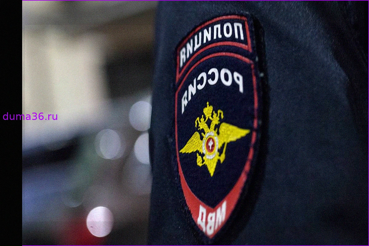 Обыски в Институте философии РАН: Сотрудница задержана по подозрению в мошенничестве