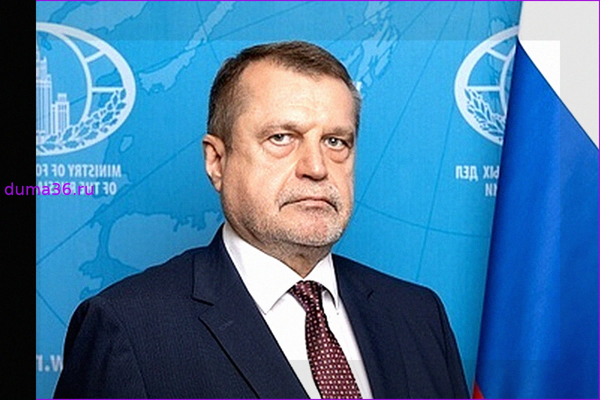 МИД России: Франция предоставляет разведданные террористам в Африке