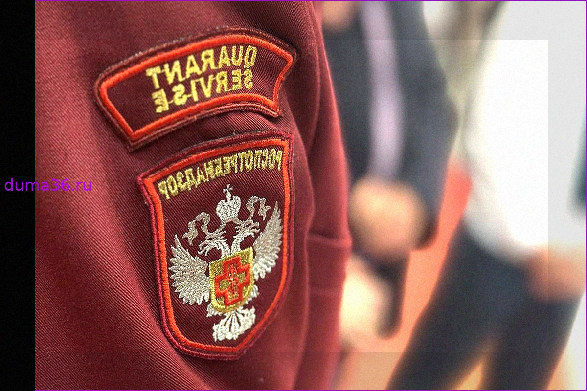 Хантавирус Андес: Максимальное распространение в летний период