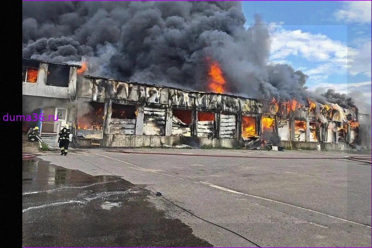 Масштабный пожар на рынке «Тополек» в Новой Москве